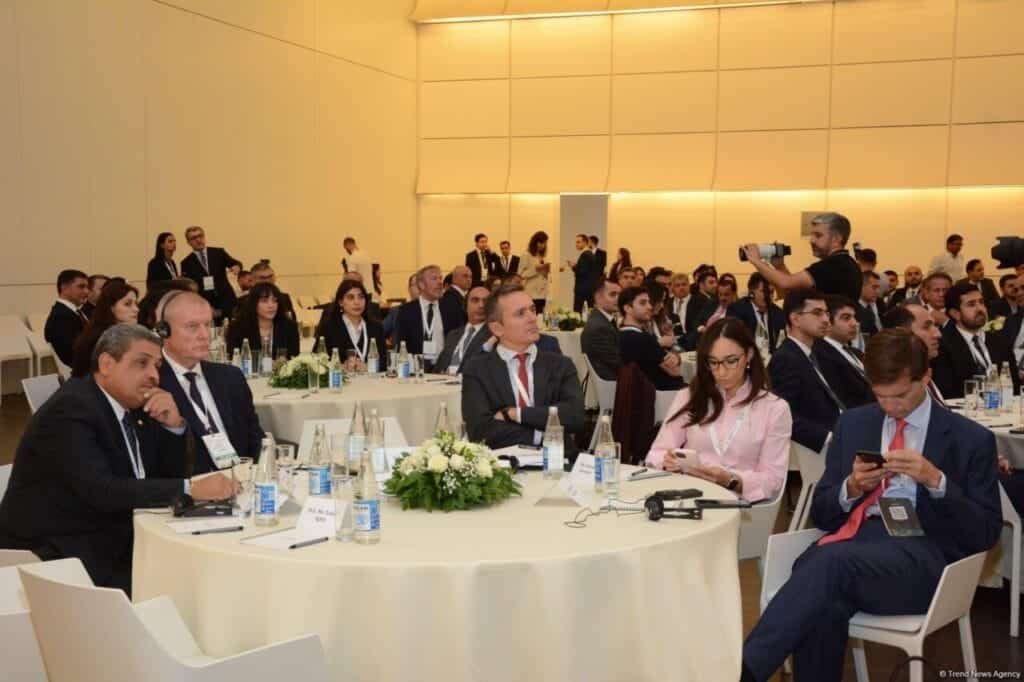 Bakıda İqlim Fəaliyyəti Həftəsi başladı - FOTO