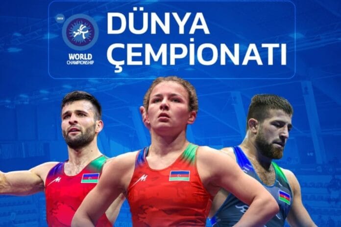 Dünya çempionatına