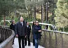 Mərkəzi Nəbatat Bağının əsaslı təmiri
