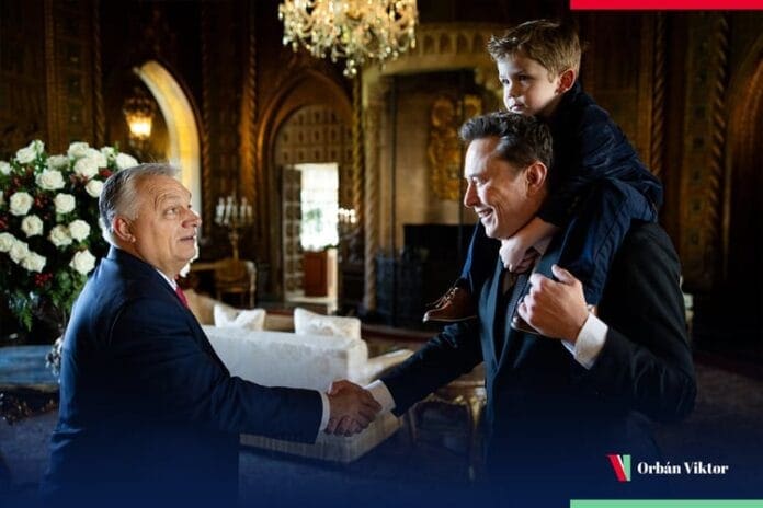 Elon Musk Trump və Orban