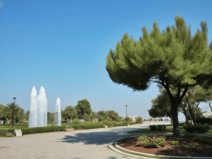 Bakıda yeni park salınacaq