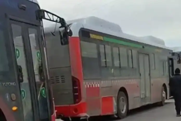 yeni avtobuslar