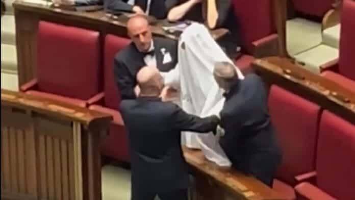 hayalet deputat