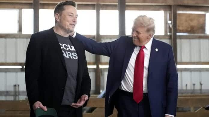 Musk Tramp