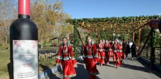 Üzüm və Şərab Festivalı