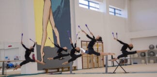Bədii gimnastika üzrə milli komandanın baş məşqçisi Nəzrin Cəfərzadə III MDB Oyunlarına yüksək motivasiya və ciddi hazırlıqla hazırlaşdıqlarını bildirib.