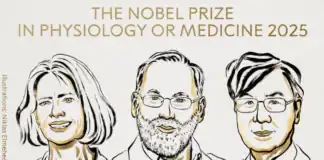 Nobel mükafatı