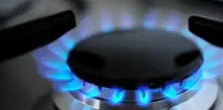 qazın dayandırılması
