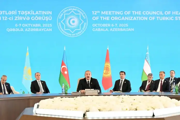 Türk Dövlətləri Təşkilatının