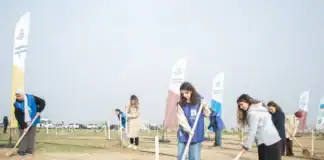 Azərbaycanda 111 min 111 ağac əkildi