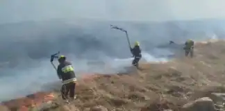 Gədəbəydə dağlıq ərazidə yanğın baş verib
