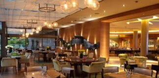 Bakı restoranlarında Azərbaycan dili yoxdur?
