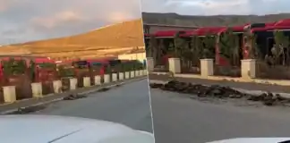 BakuBus Iveco avtobusları haqqında açıqlama