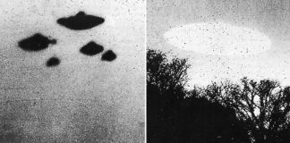 Trampın UFO qərarından sonra milyonlarla fayl silindi