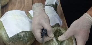 64 kiloqram narkotik aşkarlandı – əməliyyat