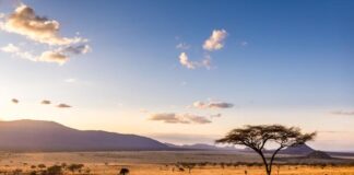 Afrika iki hissəyə bölünə bilər – alimlər xəbərdarlıq edir