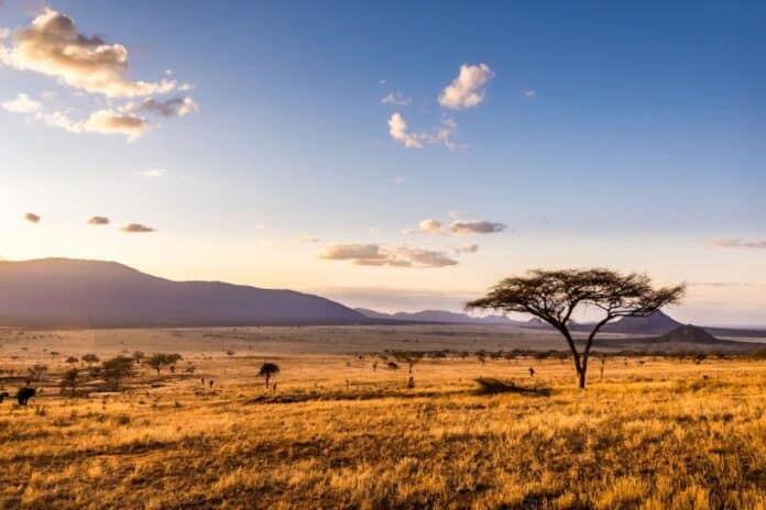 Afrika iki hissəyə bölünə bilər – alimlər xəbərdarlıq edir