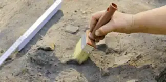 İlk Tunc dövründə qidalanma: yeni faktlar
