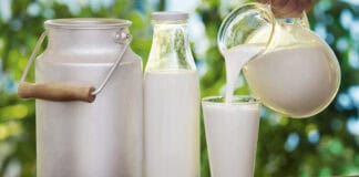 Tam yağlı südün faydası və zərərləri
