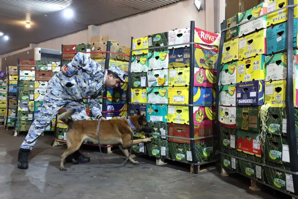 “Qarpız” yükünün içindən 31 kiloqramdan çox narkotik tapıldı