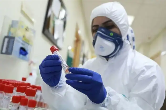 Hantavirus Covid-19 qədər təhlükəlidirmi?