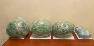 Polis 25 kiloqrama yaxın narkotik aşkarladı