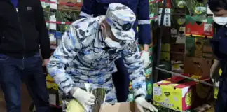 Qarpız yükündə 31 kq-dan çox narkotik tapıldı