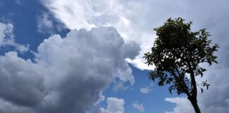 Sabah hava necə olacaq? Külək və yağış gözlənilir
