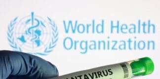 ÜST hantavirusla bağlı xəbərdarlıq etdi