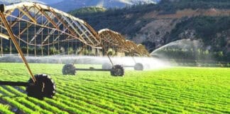 Yeni Dövlət Proqramı aqrar sektoru dəyişəcək