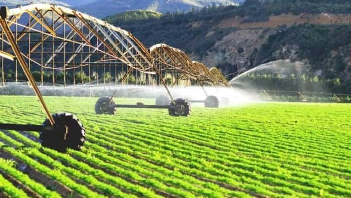 Yeni Dövlət Proqramı aqrar sektoru dəyişəcək