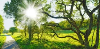 Sabah Azərbaycanda temperatur 33 dərəcəyə çatacaq