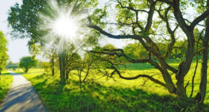 Sabah Azərbaycanda temperatur 33 dərəcəyə çatacaq