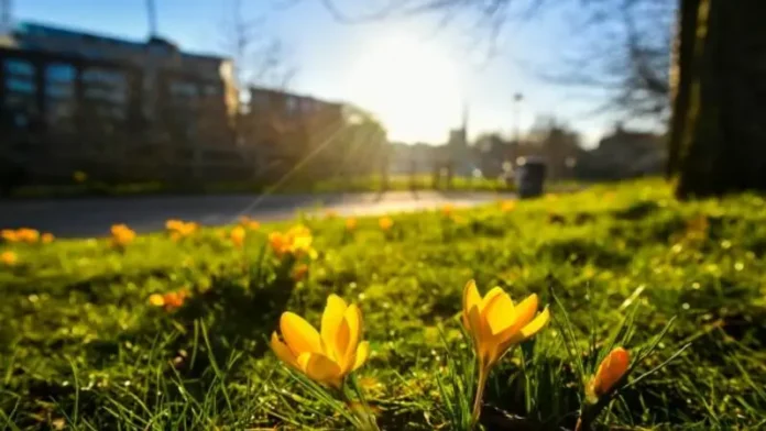 Sabah Bakıda hava necə olacaq? 32 dərəcə isti