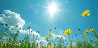 Sabah temperatur 36 dərəcəyə yüksələcək