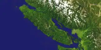 Vankuver sahillərində gizli ekoloji böhran aşkarlanıb