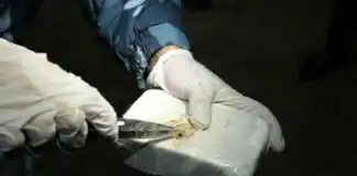 Azərbaycanda 6 ayda 5 tondan çox narkotik aşkarlanıb