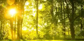 Sabah Azərbaycanda havanın temperaturu 35°-yə çatacaq