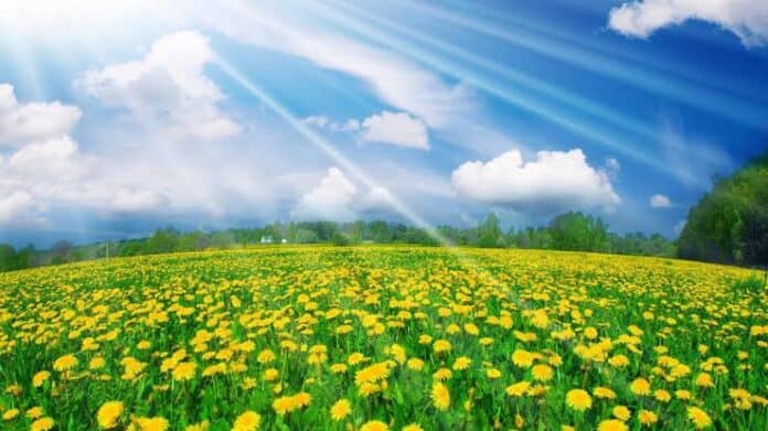Sabah Azərbaycanda temperatur 41 dərəcəyədək yüksələcək