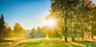 Sabah hava proqnozu: Temperatur 35 dərəcəyədək yüksələcək